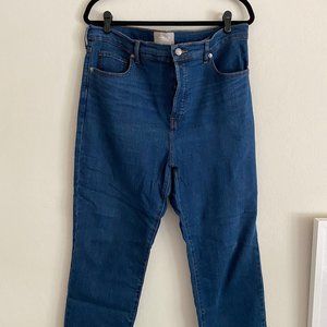 Everlane High Rise Slim Straight Jean in Mid Blue
